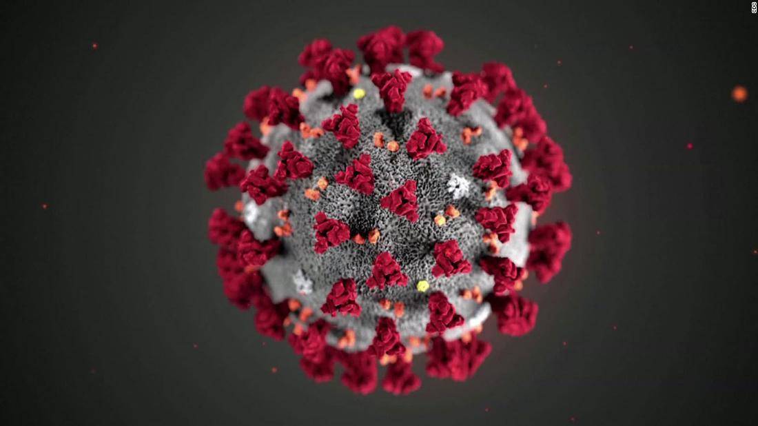 image of the coronavirus 